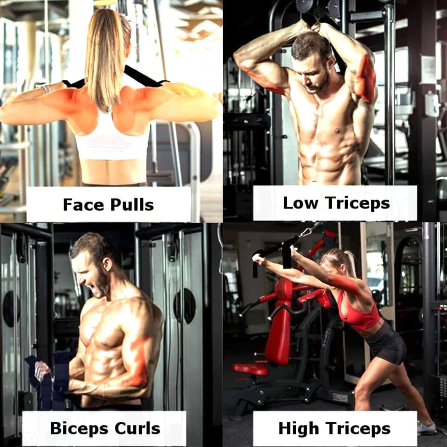 Tricep Rope Pull Down Resistance Band with Dual Handles & Cable